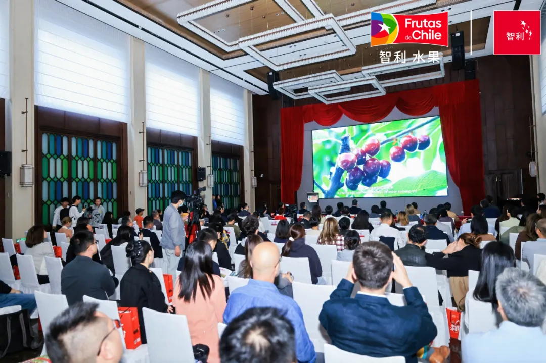 1764926795831935.png 5_结果.png