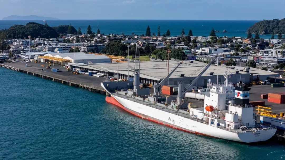 1765347423535070.png 640 (1)_结果.png